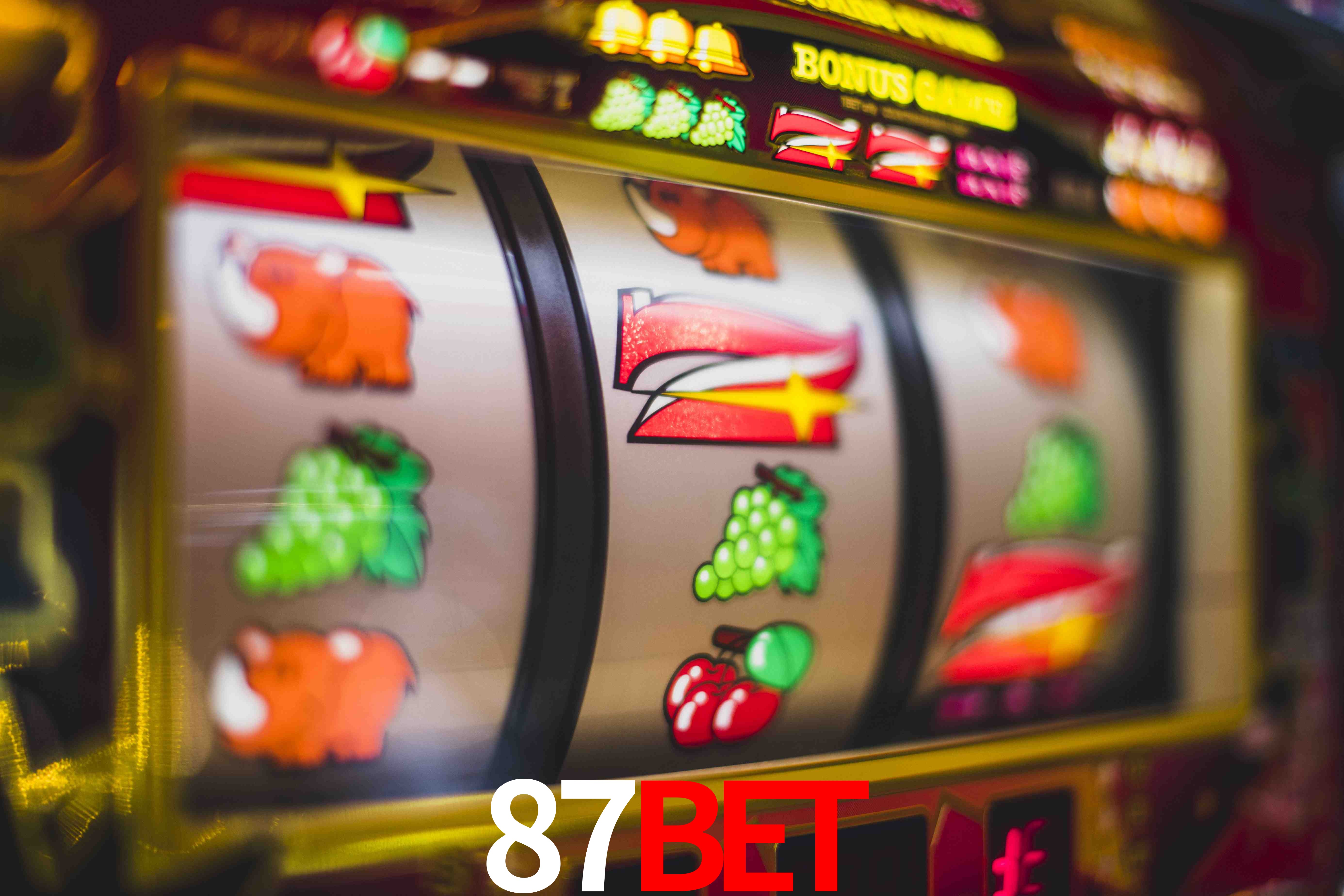 Statistics 87bet